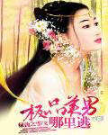 沉迷于性（NPH）